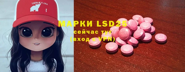 ПСИЛОЦИБИНОВЫЕ ГРИБЫ Краснослободск
