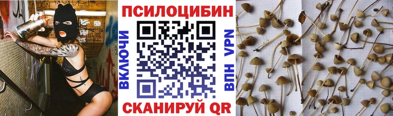 Галлюциногенные грибы мухоморы  где купить   блэк спрут как зайти  Сыктывкар 