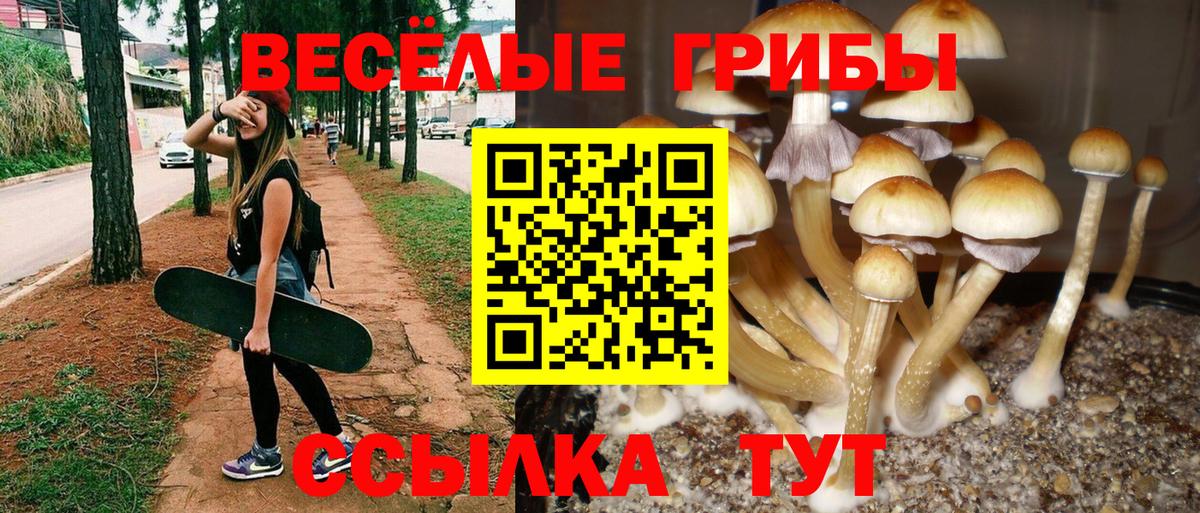 Сыктывкар  Галлюциногенные грибы ЛСД  где купить наркотик  Вход с VPN  Псилоцибиновые грибы мицелий 